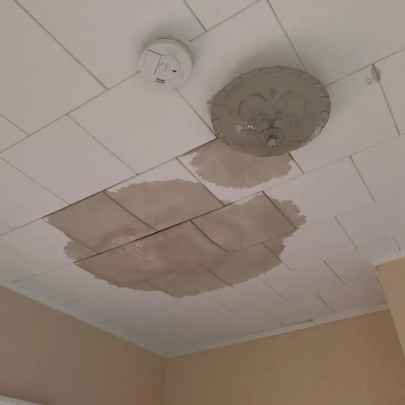 Ceiling Water Damage Repair in North Apollo, PA