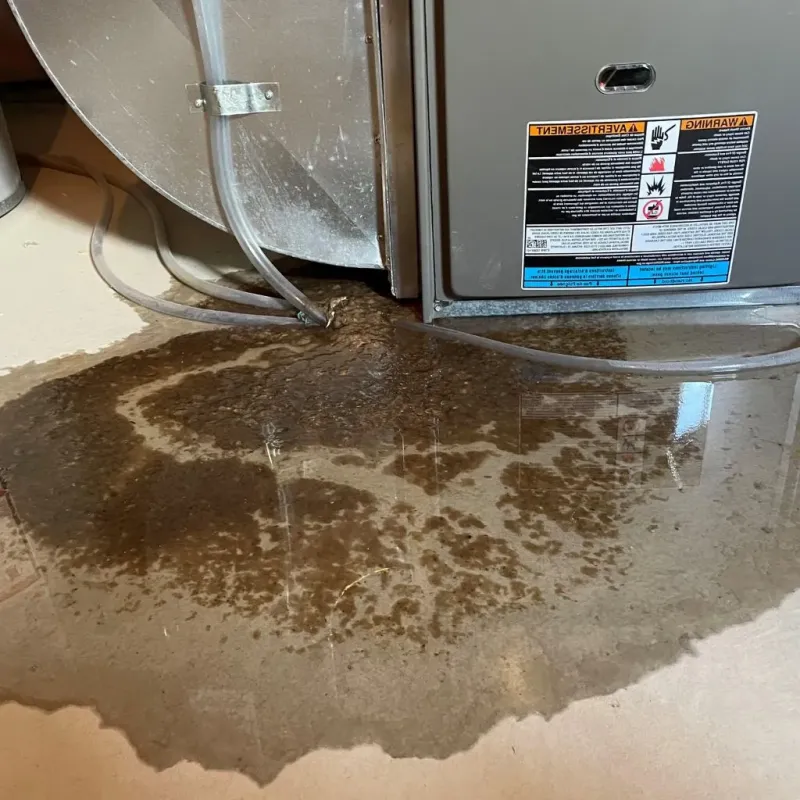 Pipe Burst and Leak Restoration in North Apollo, PA