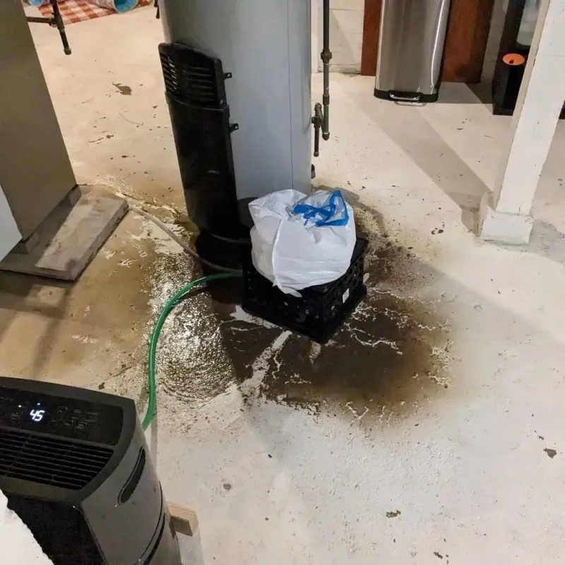 Sewage Backup Cleanup Service in North Apollo, PA
